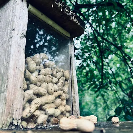 Cabyn Espien, Boshuis Met Hottub Tatil Evi *