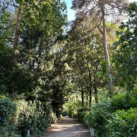 Cabyn Espien, Boshuis Met Hottub Tatil Evi Diessen