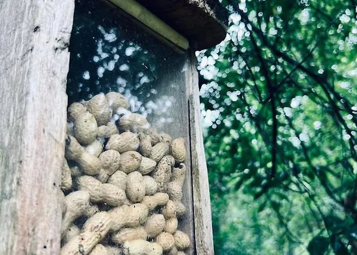 Cabyn Espien, Boshuis Met Hottub Ferienhaus *