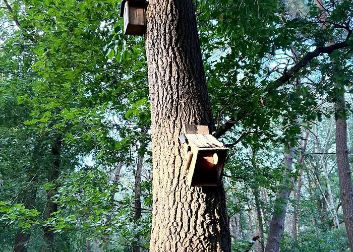 Cabyn Espien, Boshuis Met Hottub * Diessen