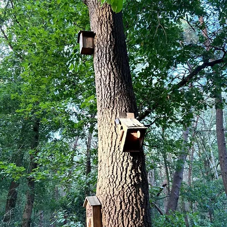 Cabyn Espien, Boshuis Met Hottub * Diessen