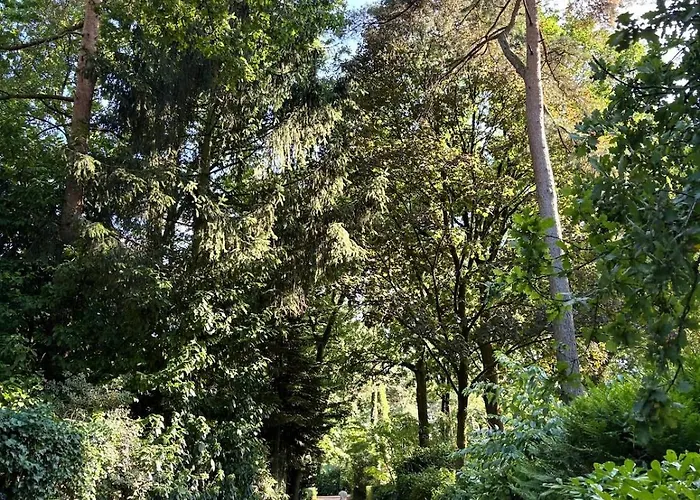 Cabyn Espien, Boshuis Met Hottub Feriehus Diessen